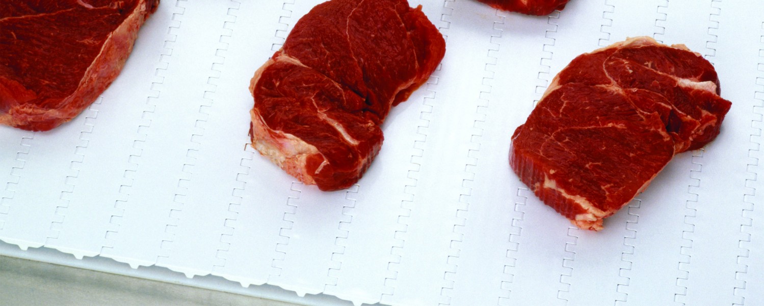 Dyno Conveyors Intralox Meat Tough Belt Pic